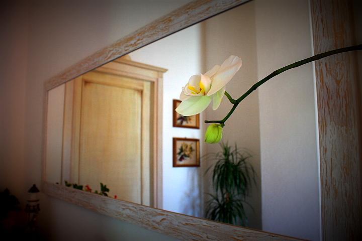 Bed and Breakfast Il Melograno Di Nora Pula Exterior foto